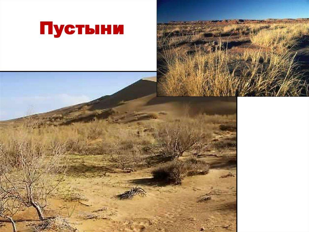 Пустыни
