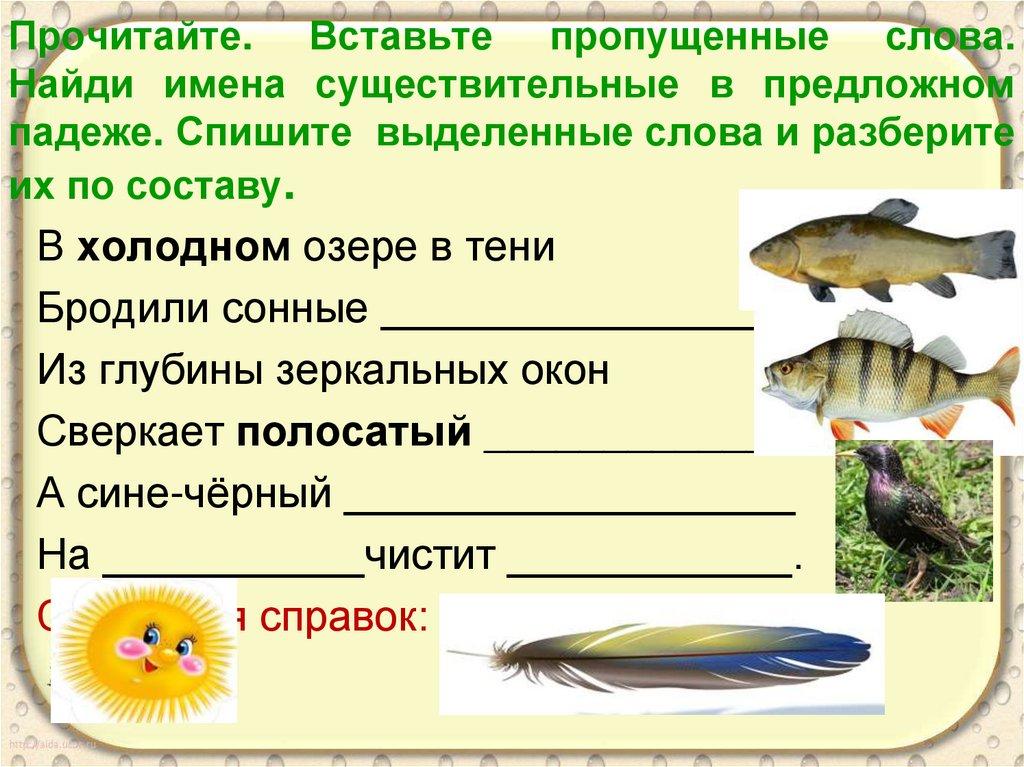 Прочитайте. Вставьте пропущенные слова. Найди имена существительные в предложном падеже. Спишите выделенные слова и разберите