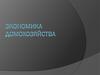 Экономика домохозяйства