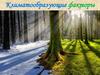 Климатообразующие факторы