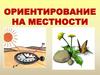Ориентирование на местности