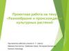 Разнообразие и происхождение культурных растений