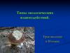 Типы экологических взаимодействий. Урок экологии