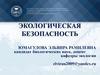 Экологическая безопасность