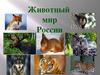 Животный мир России