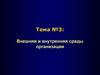 Внешняя и внутренняя среды организации. Тема 3