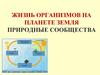 Жизнь организмов на планете Земля. Природные сообщества