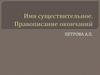 Имя существительное. Правописание окончаний