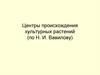 Центры происхождения культурных растений (по Н. И. Вавилову)