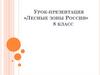 Лесная зона России