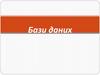 Бази даних
