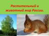 Растительный и животный мир России