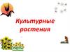 Культурные растения