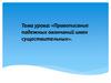 Правописание падежных окончаний имен существительных