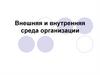 Внешняя и внутренняя среда организации