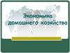 Экономика домашнего хозяйства