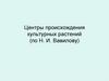 Центры происхождения культурных растений по Н.И. Вавилову