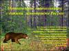 Дикая природа России