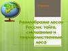 Разнообразие лесов России: тайга, смешанные и широколиственные леса