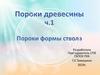 Пороки дерева и древесины