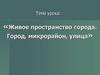 Живое пространство города. Город, микрорайон, улица
