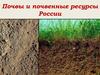Почвы и почвенные ресурсы России