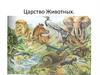 Царство Животных