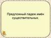 Предложный падеж имён существительных
