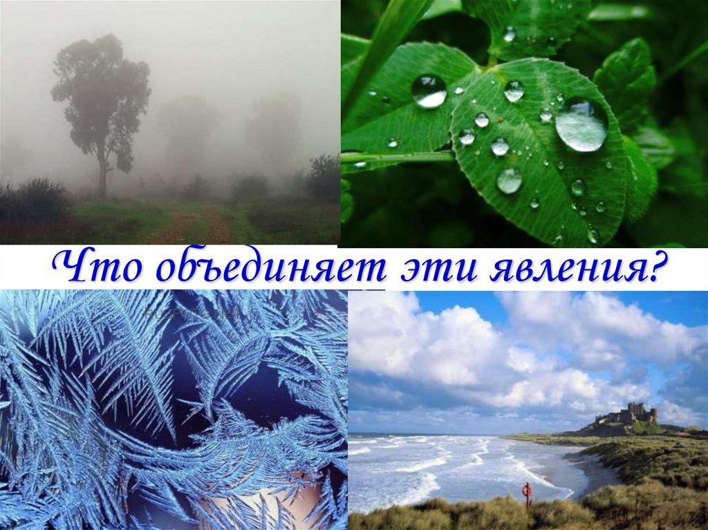 Что объединяет эти явления?