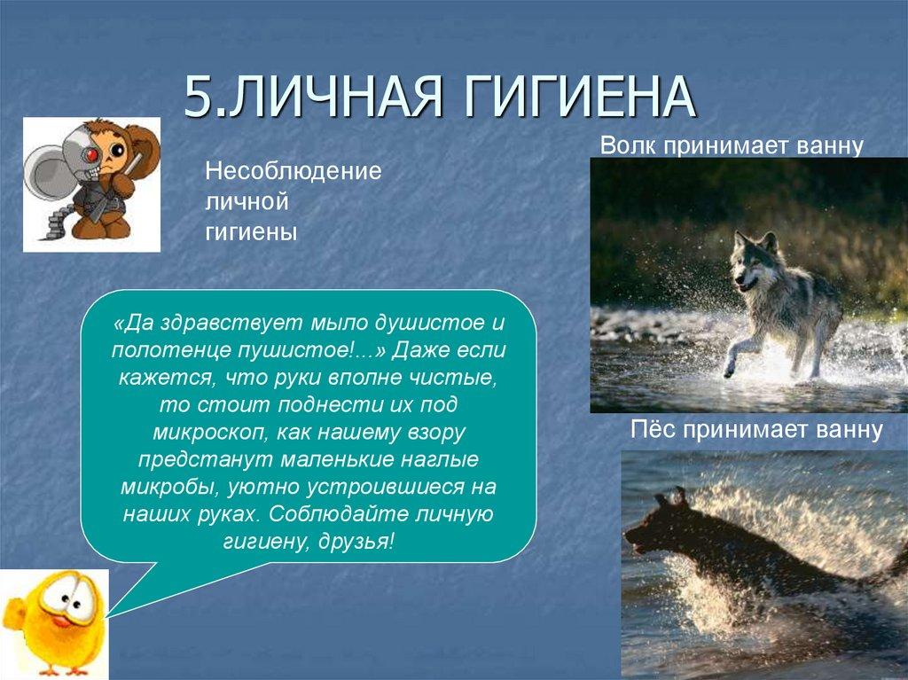 5.ЛИЧНАЯ ГИГИЕНА