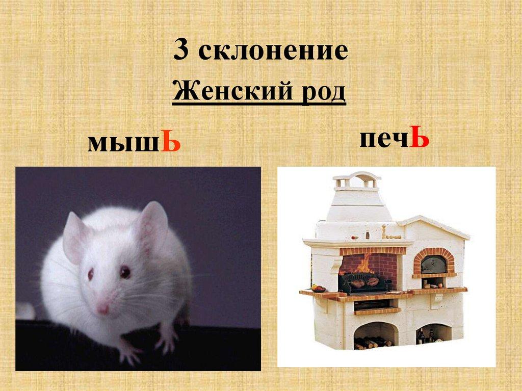 3 склонение