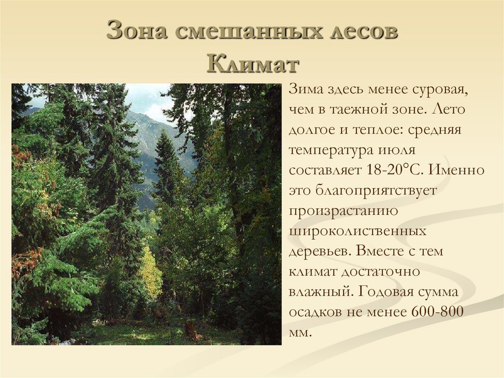 Зона смешанных лесов Климат