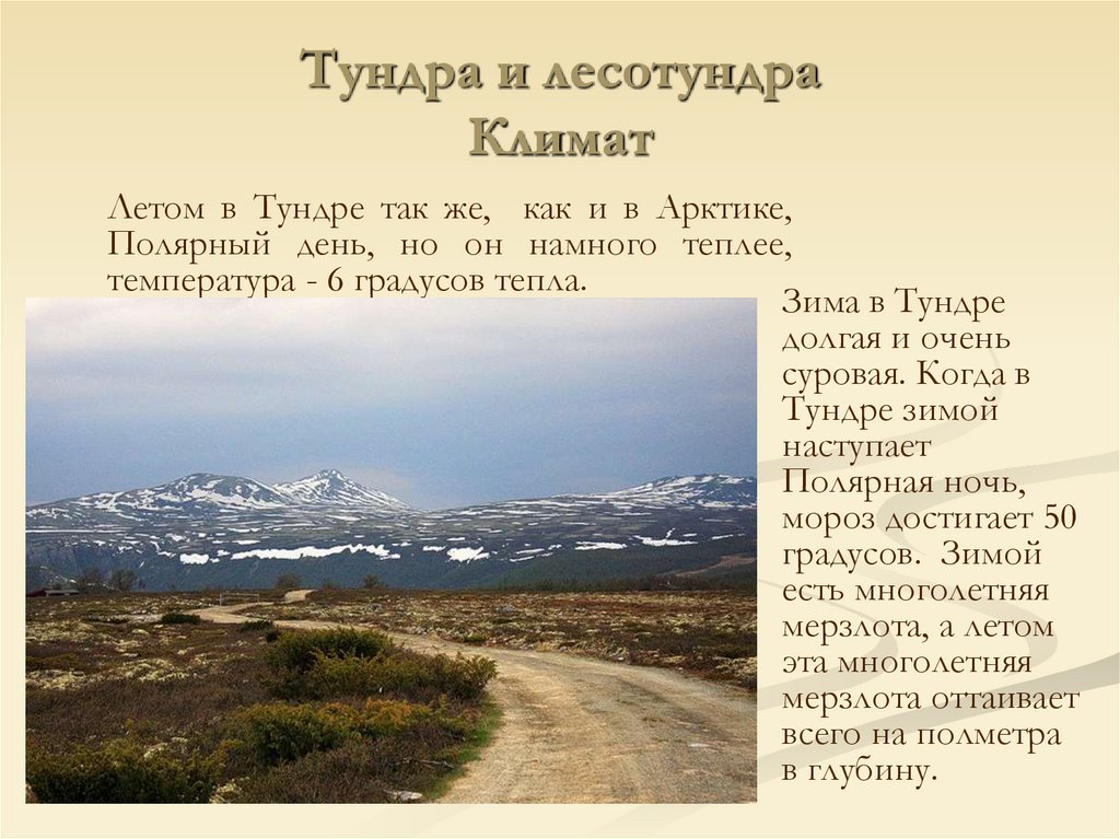 Тундра и лесотундра Климат