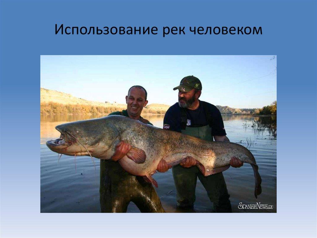 Использование рек человеком