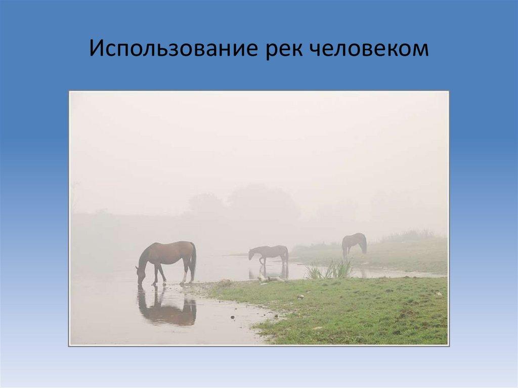 Использование рек человеком