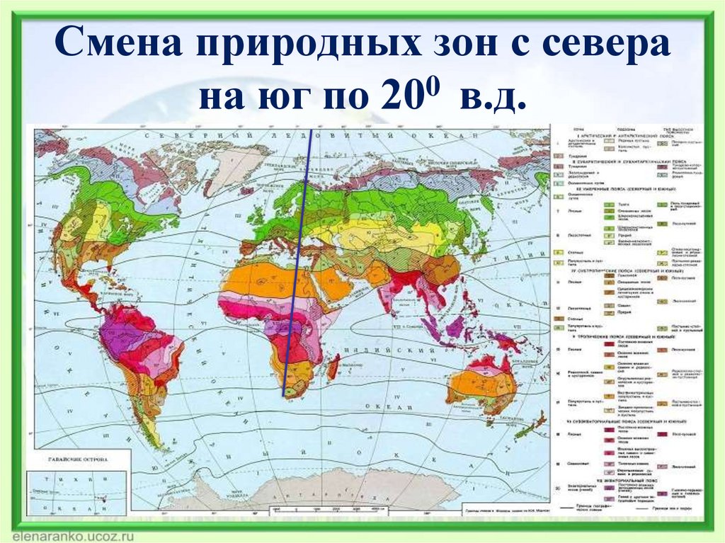 Смена природных зон с севера на юг по 200 в.д.