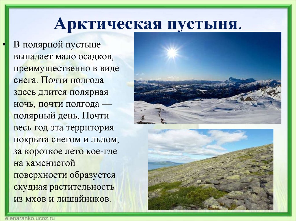 Арктическая пустыня.