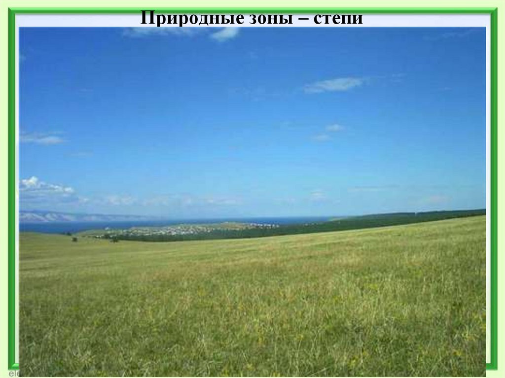 Природные зоны – степи