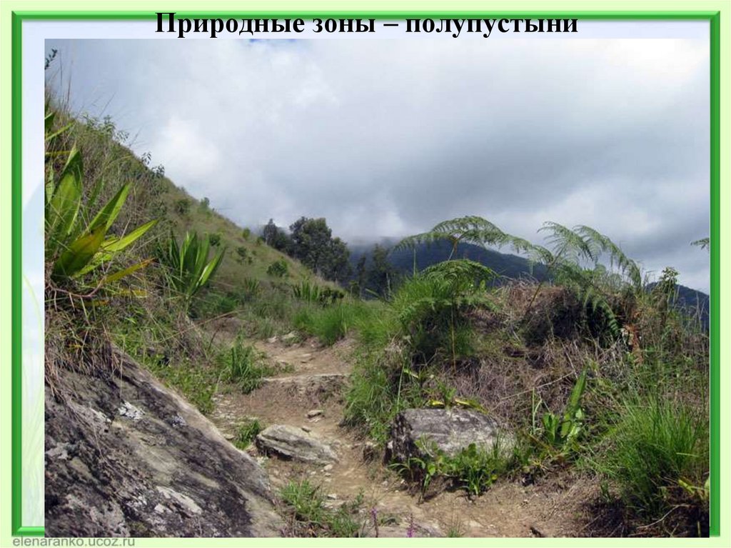 Природные зоны – полупустыни