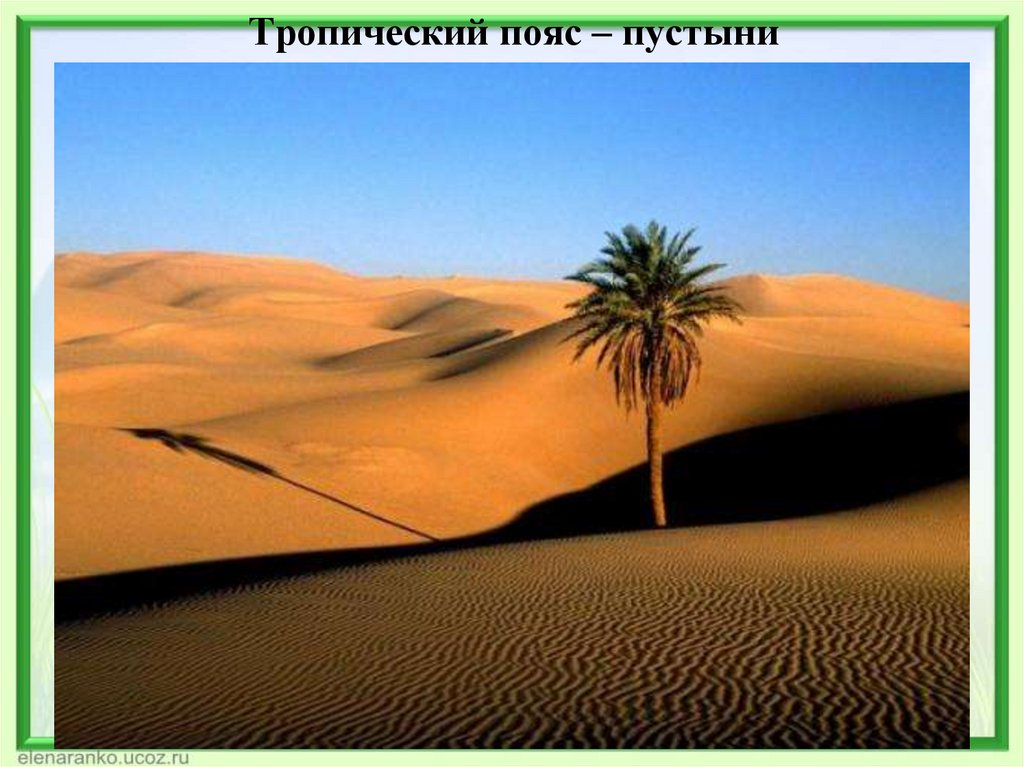 Тропический пояс – пустыни