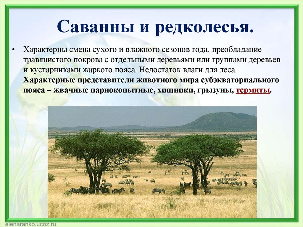 Саванны и редколесья.
