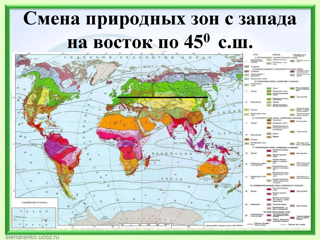 Смена природных зон с запада на восток по 450 с.ш.