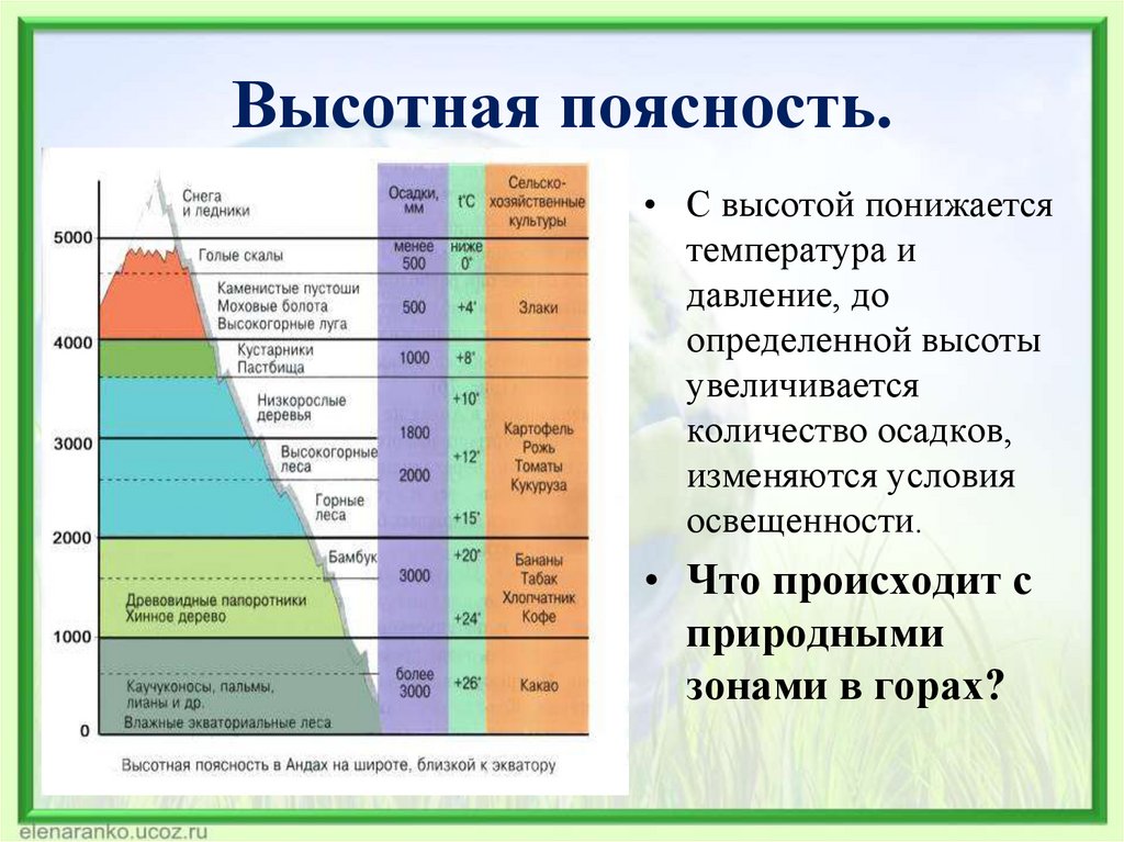 Высотная поясность.