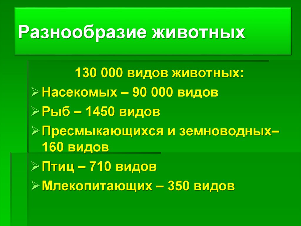 Разнообразие животных