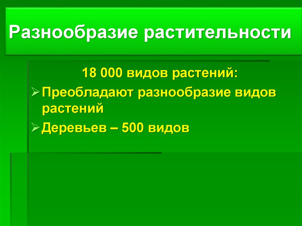 Разнообразие растительности
