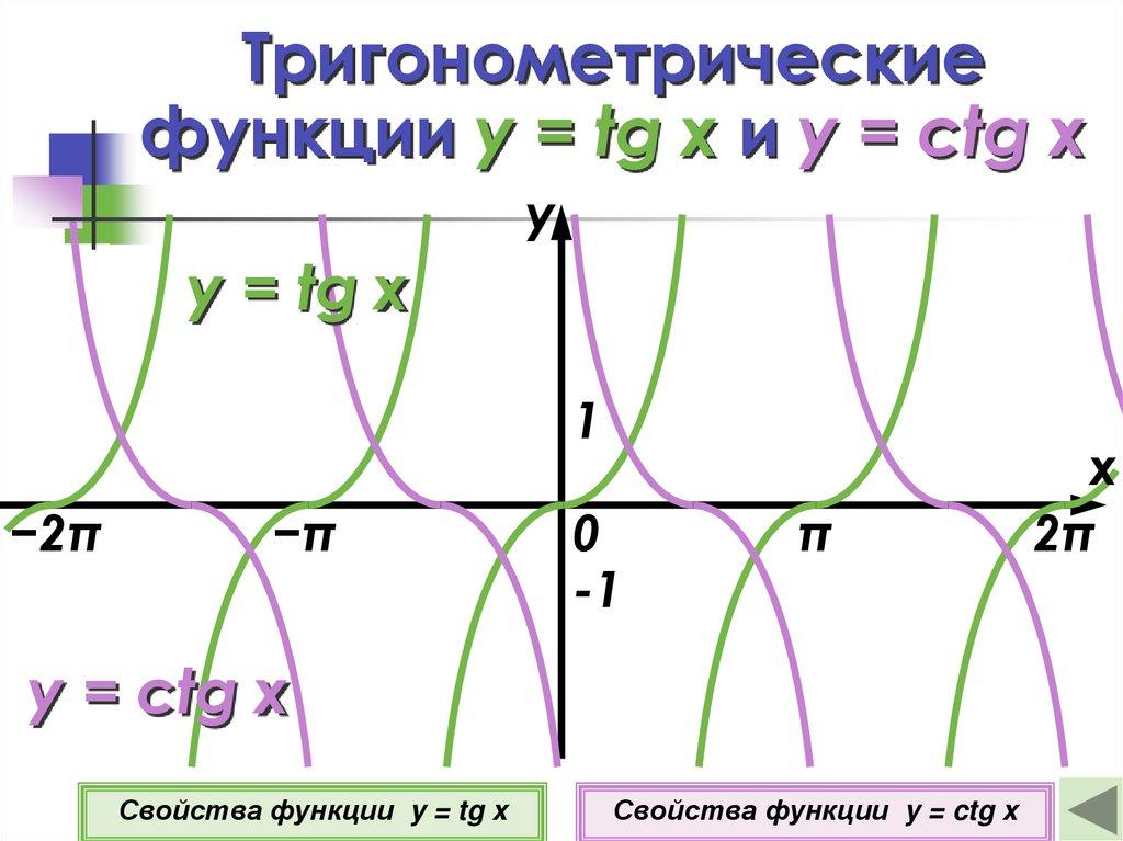 Тригонометрические функции y = tg x и y = ctg x
