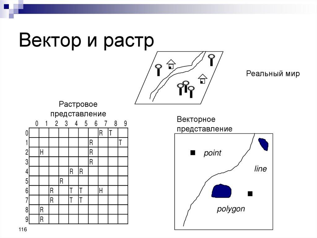 Вектор и растр