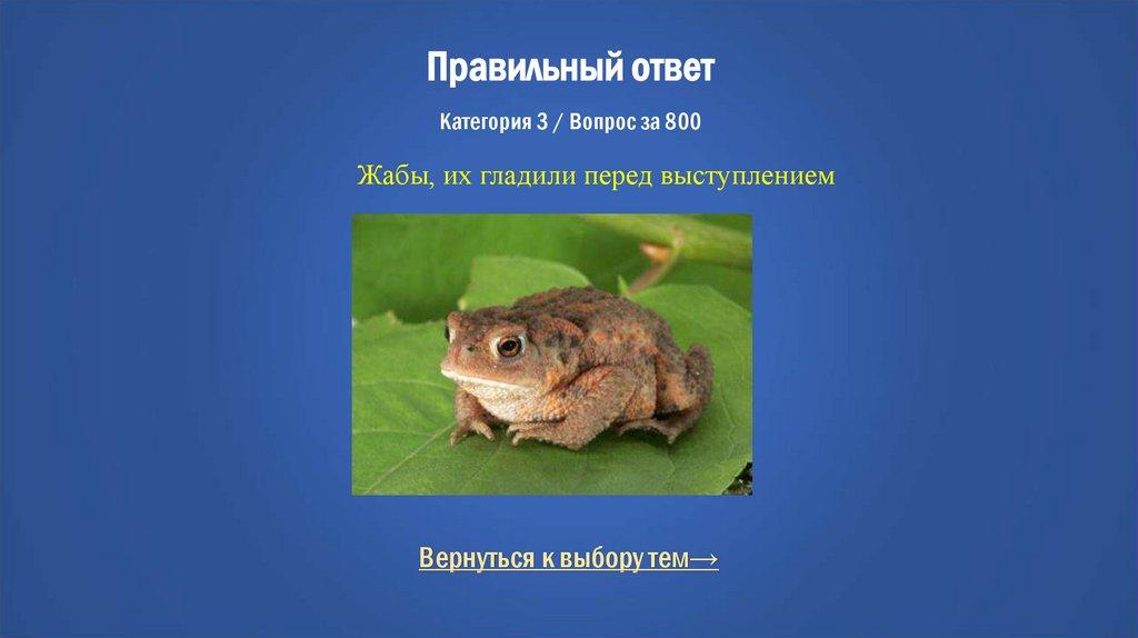 Правильный ответ Категория 3 / Вопрос за 800