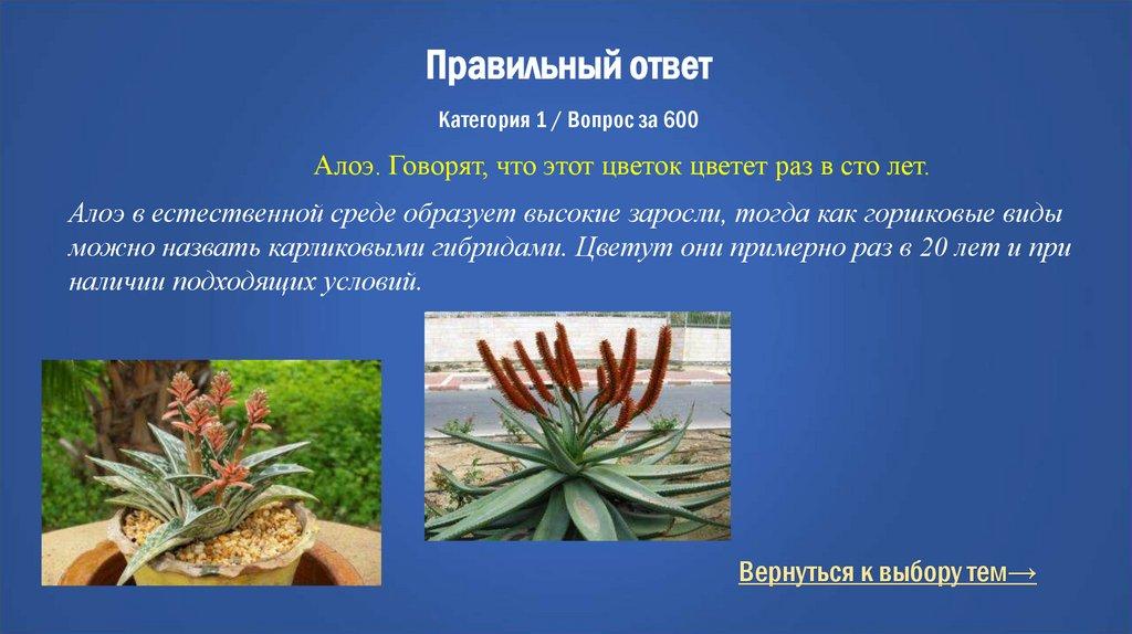 Правильный ответ Категория 1 / Вопрос за 600