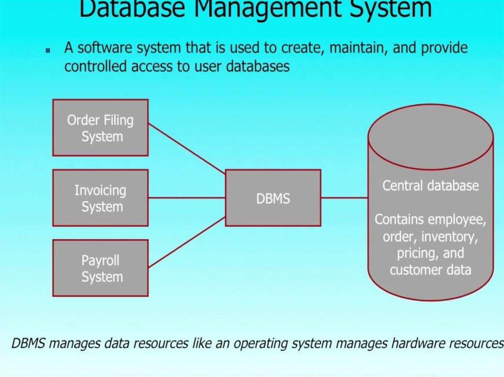 Database Management System.